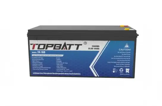 24V LiFePO4 Battery vs. Other Lithium Types: Differences Explained